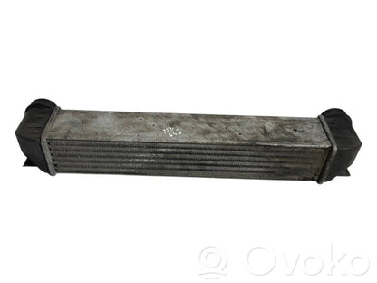 Starpdzesētāja radiators