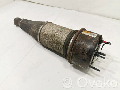 Задняя пневматическая (воздушная) подушка с амортизатором