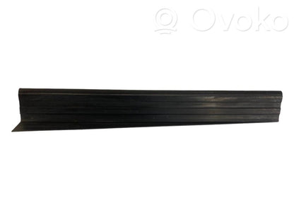 Rear door sill trim (external)
