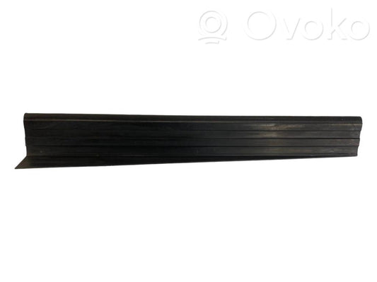 Rear door sill trim (external)