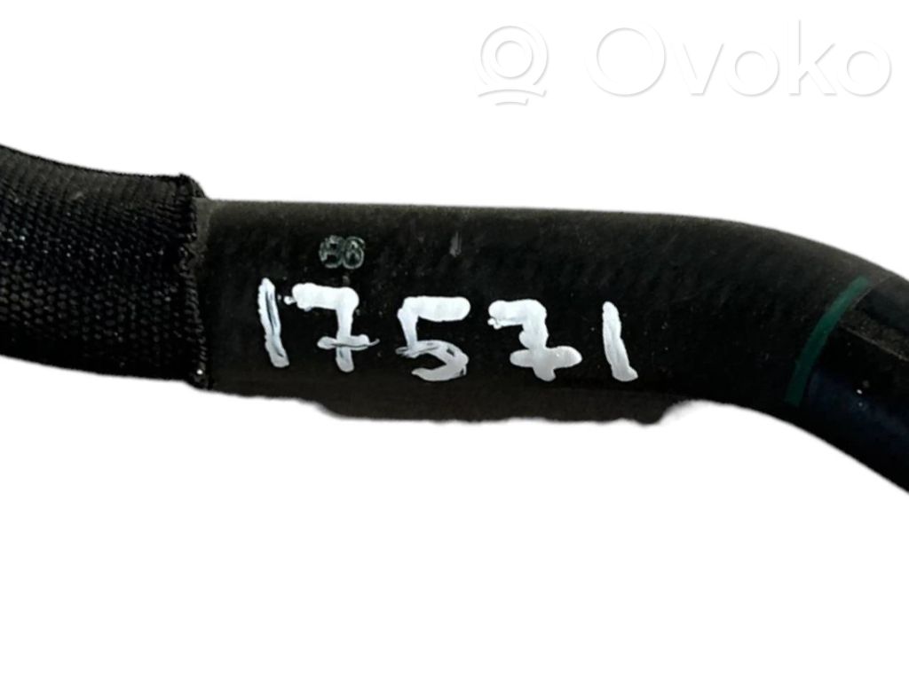 Caurulīte (-es) / šļūtene (-es)