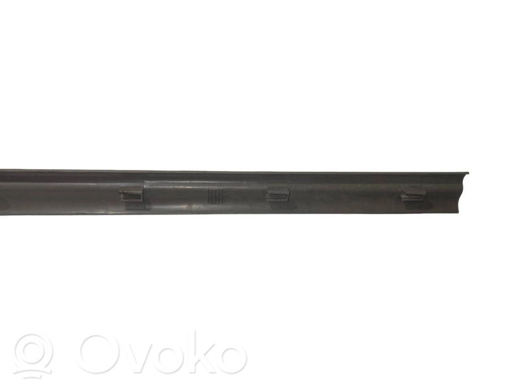 Front sill trim (inner)
