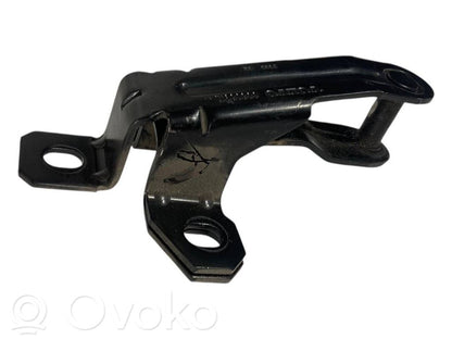 Aizmugurējā pārsega eņģe (-ess)