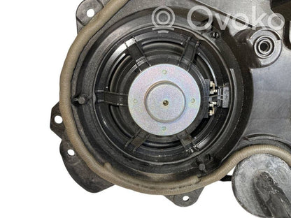 Speaker(s) in the rear door