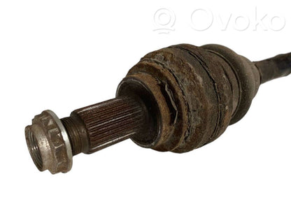 Aizmugurējā pusass