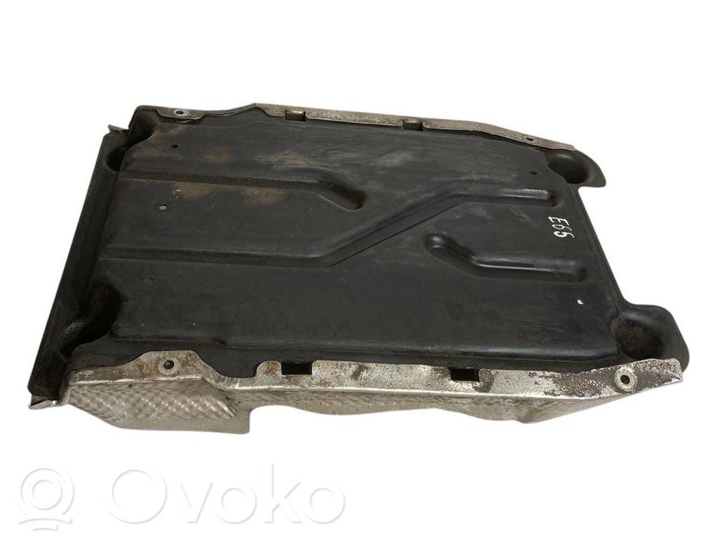 Under engine guard (front)