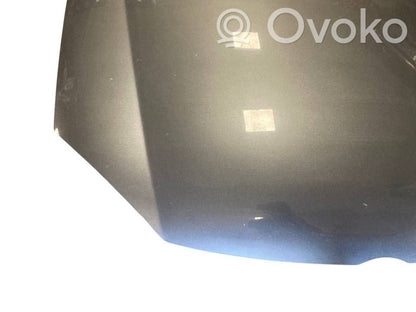 Dzinēja pārsegs (vāks)