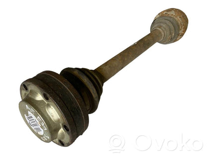 Aizmugurējā pusass