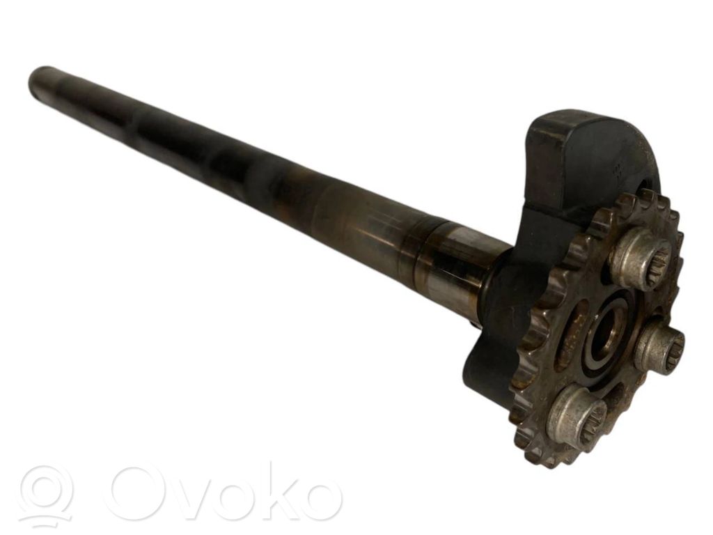 Engine chain balancer