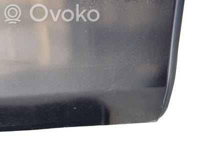 Aizmugurējās durvis