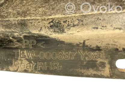 Aizmugurējais apakšspārns