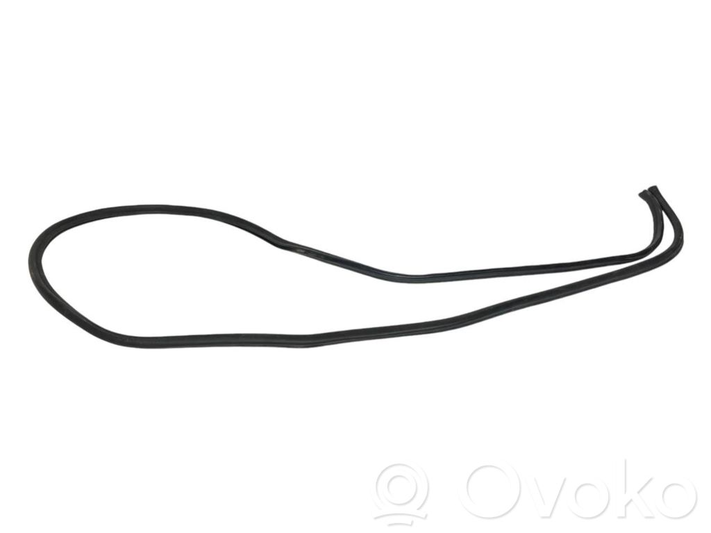 Dzinēja nodalījuma gumija