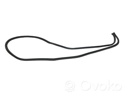 Dzinēja nodalījuma gumija