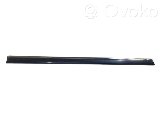 Rear door decorative trim (moulding)