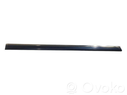 Rear door decorative trim (moulding)