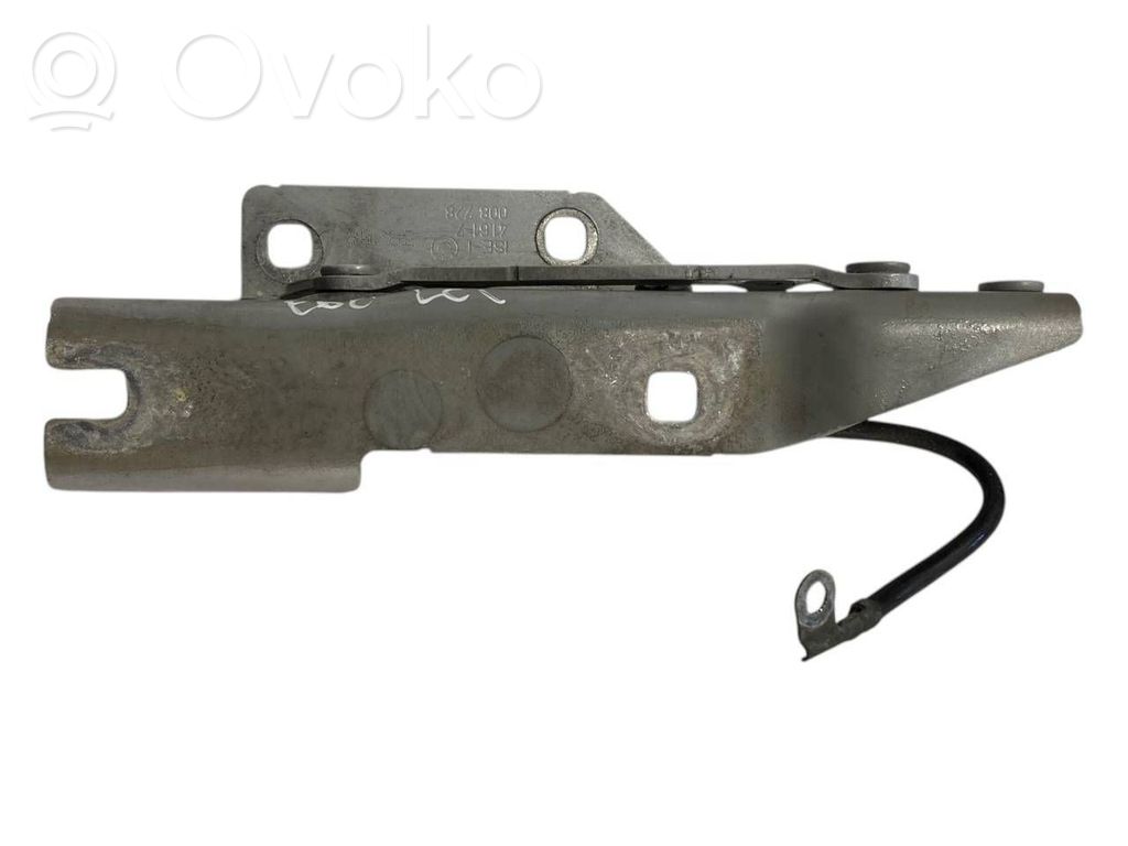 Петли капота двигателя