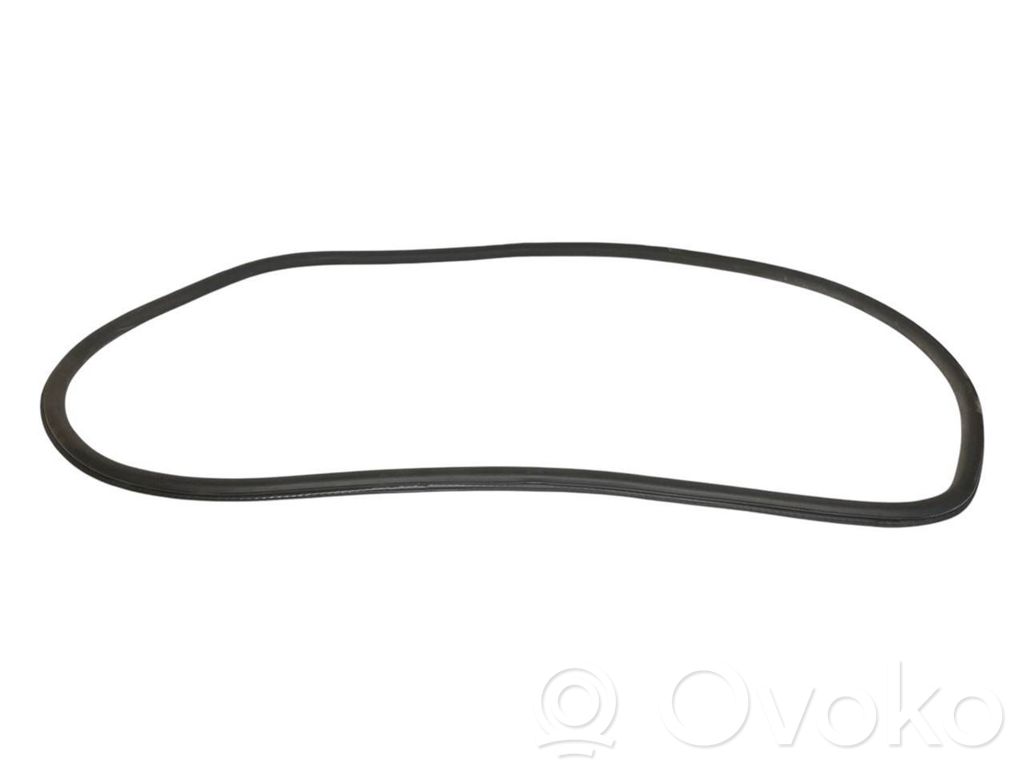 Front trim rubber (in the body)