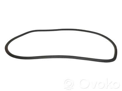 Front trim rubber (in the body)