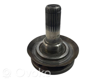 Aizmugurējā pusass