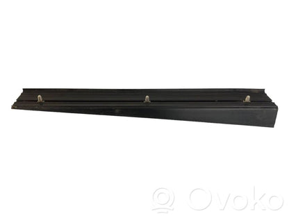 Rear door sill trim (external)