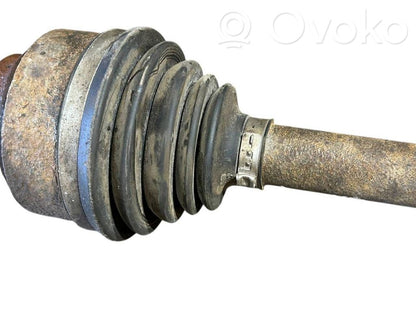 Aizmugurējā pusass