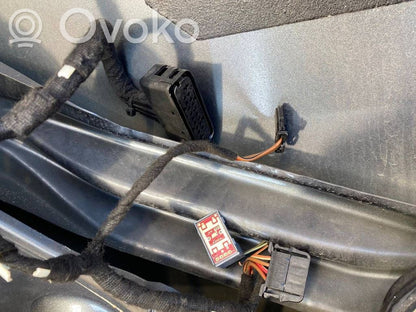 Aizmugurējās durvis