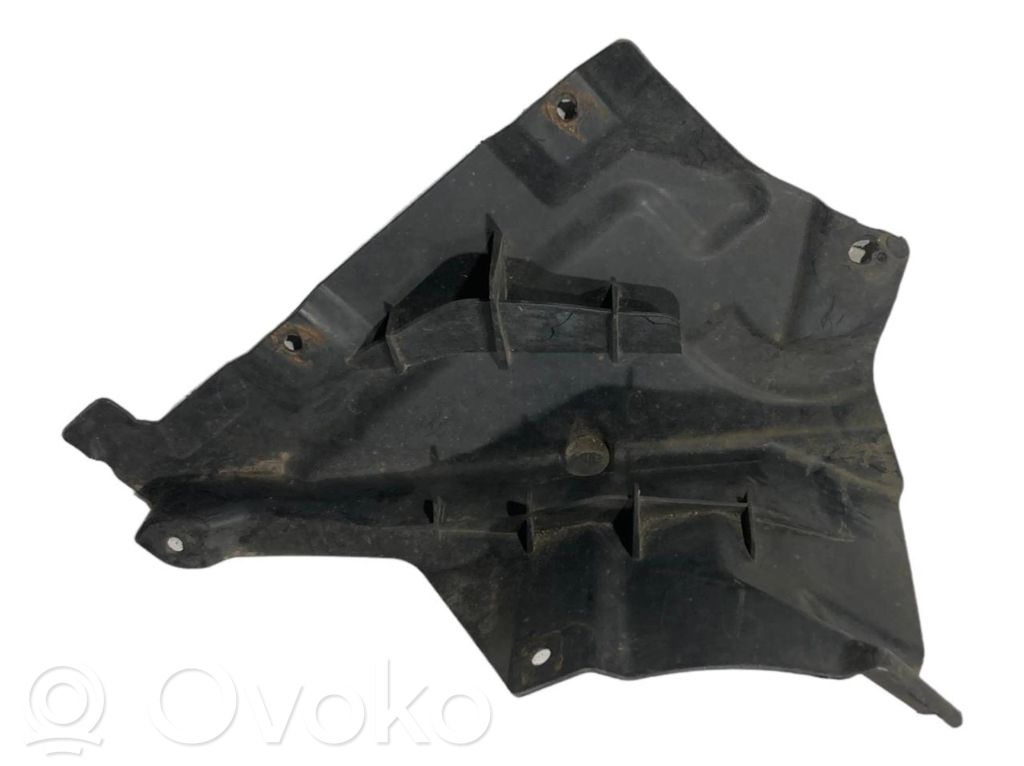 Under engine guard (front)