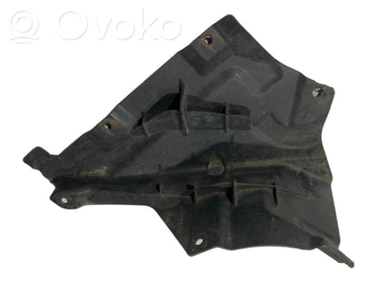 Under engine guard (front)