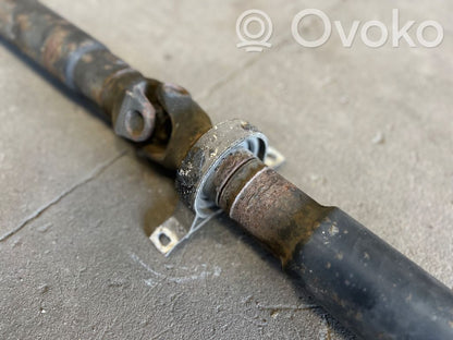 Aizmugurējais kardāns