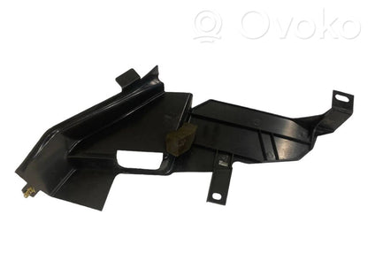 Side decorative trim (front)