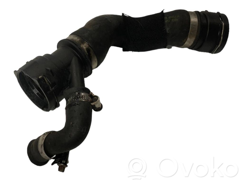 Caurulīte (-es) / šļūtene (-es)