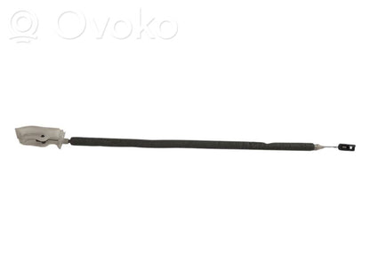 Trosīte