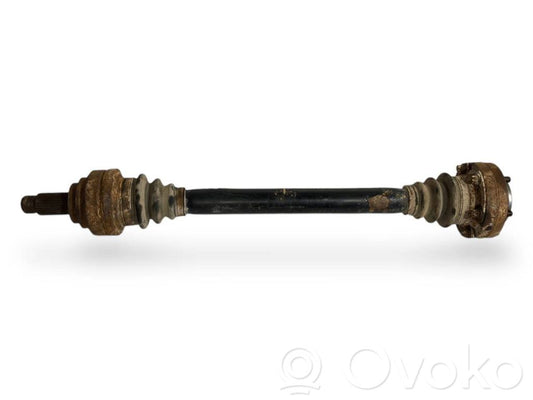 Aizmugurējā pusass