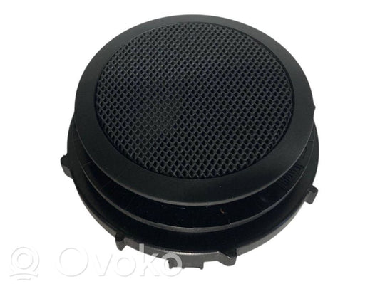 Speaker(s) in the rear door