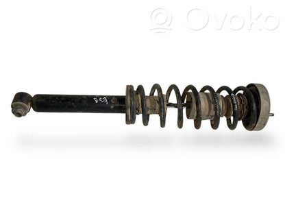 Rear shock absorber with spring