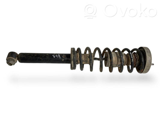 Rear shock absorber with spring