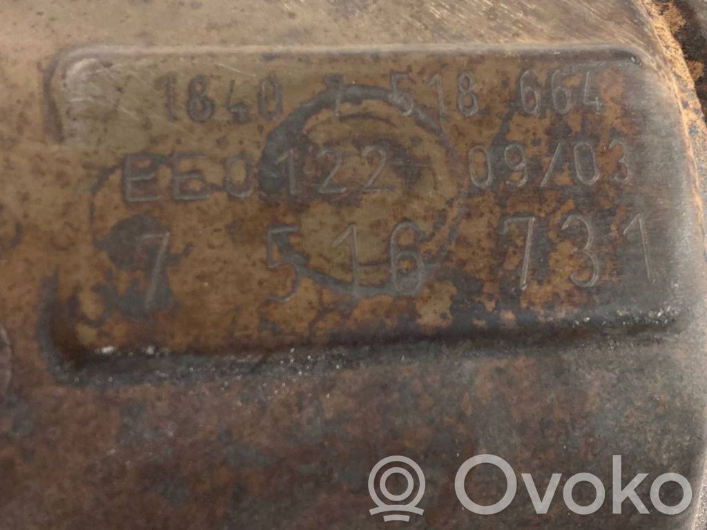 Catalyst, FAP/DPF particulate filter