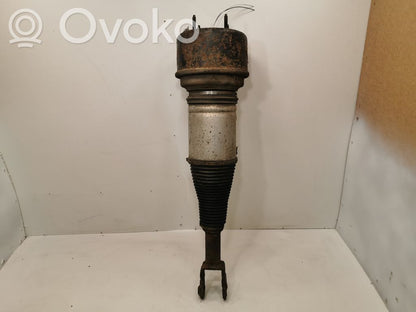 Front air shock absorber (pneumatic suspension)