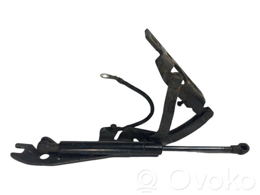 Dzinēja pārsega eņģe (-es)