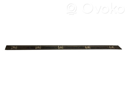 Aizmugurē durvju dekoratīvā apdare (moldings)