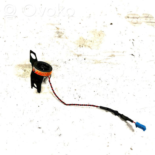 Tweeter(s) in front door