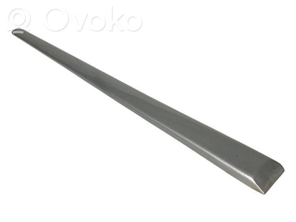Priekšpusē durvju dekoratīvā apdare (moldings)