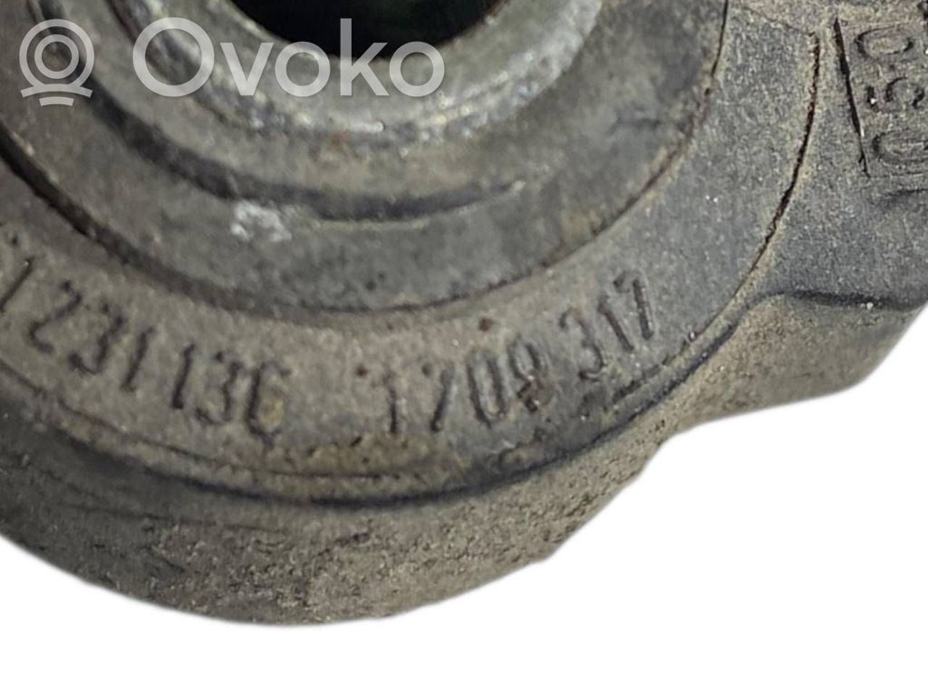 Detonācijas sensors