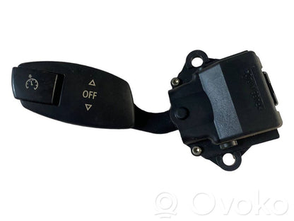 Cruise control (autopilot) lever