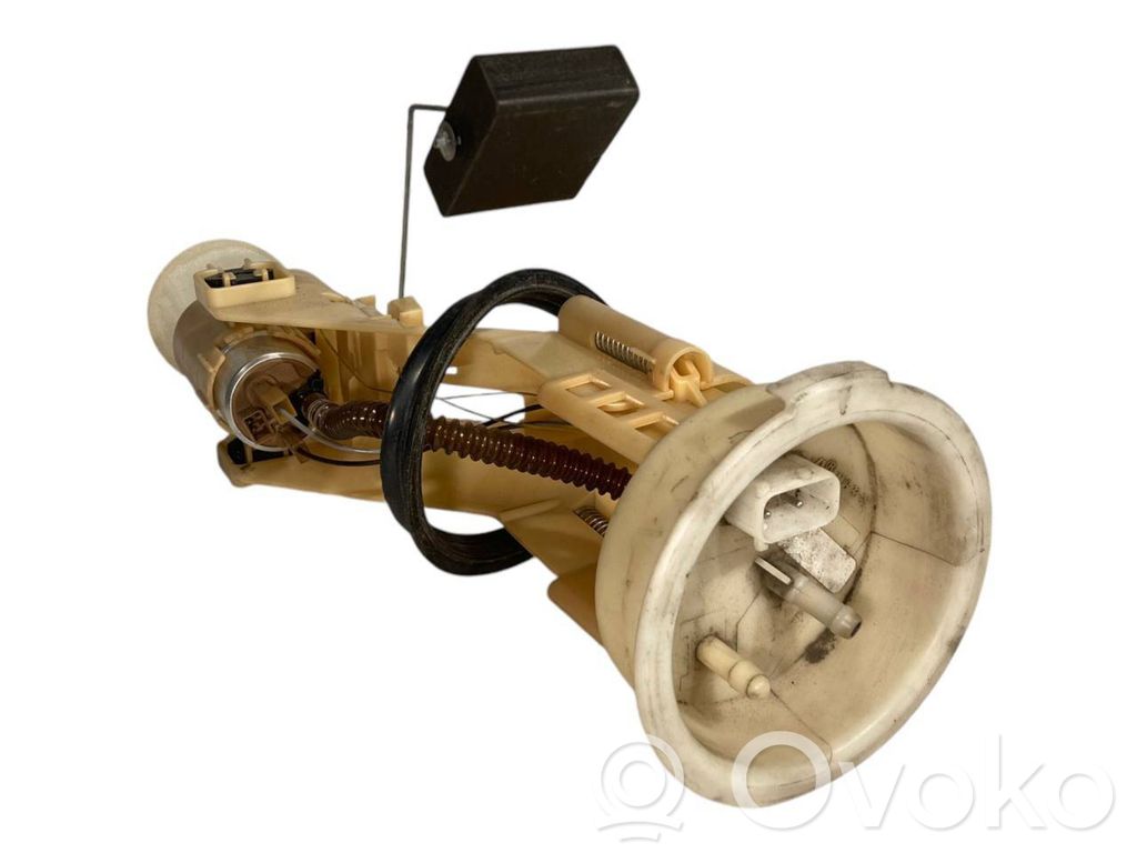 Fuel pump (in the fuel tank)