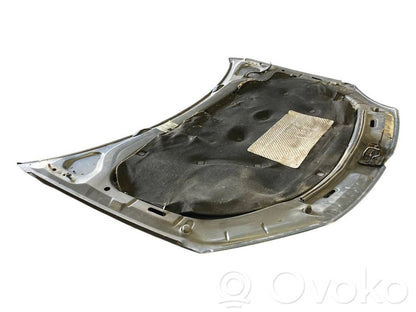 Dzinēja pārsegs (vāks)