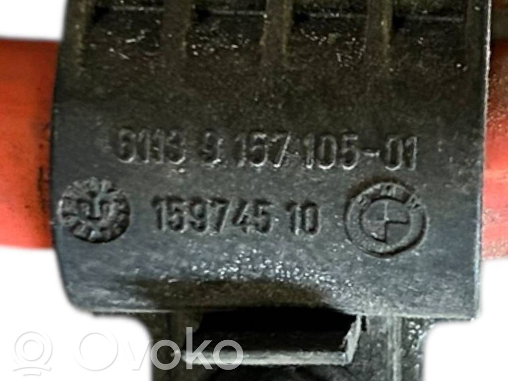 Plusa vads (akumulatora)