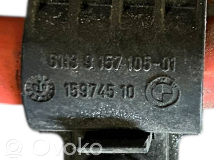 Plusa vads (akumulatora)