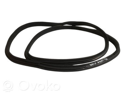 Front trim rubber (in the body)