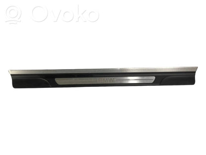 Front sill trim (inner)